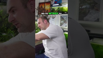 Moja galeria akwarystyczna 2025.