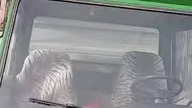 Węglarka