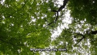 Degrassi S13E17 Napisy PL