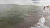 Mar