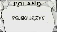 Jak język polski brzmi dla obcokrajowc&oacute;w?