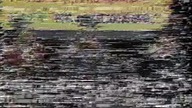 GnT - Matsumoto VS Hamada 1997