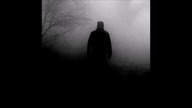 TWIN TEARS - The Cold