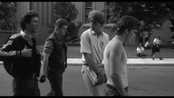 Rumble Fish