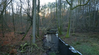 6H Forest River Ambience for Focus &bull; Real Outdoor Water Flow