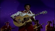 Elvis Presley Teddy Bear