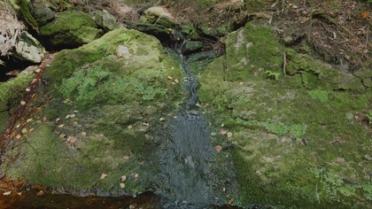 Small Forest Cascade for Focus Gentle Water Flow Between Mossy Rocks