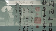 The Pillow Book (1996) Eng