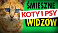 ŚMIESZNE KOTY I PSY WIDZÓW  DUBBING: MATT OLECH