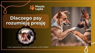 Dlaczego psy rozumieją presję.