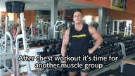 Exercises For Biceps