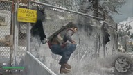 Days Gone, Bugs Done