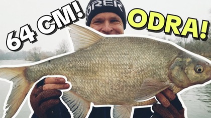 633 WYBORNY KONIEC ROKU! LESZCZE Z ODRZAŃSKICH CIEMNOŚCI - WROCŁAW