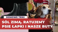 Jak chronić swoje buty i łapki pupila przed solą na ulicy?