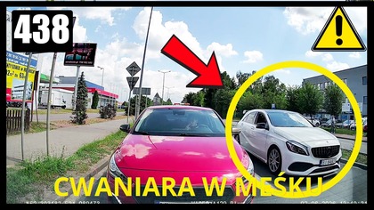 Cwaniara omija korek
