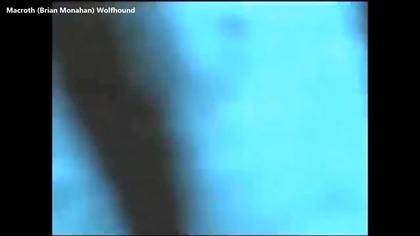 Wolves evolutionary cousing now and alleged mens best friends. Dog shifters are such a cool concept, I swear there should be more movies about them. Note: I know Bergman featured Dog Shifting demonic people, but it did not show the process of transformation, hence my video does not include it.