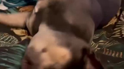 Mam swoje suplementy, na 