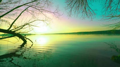 Śpiew ptaków o zachodzie słońca; Magiczny relaks 4K