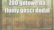 ZOO gotowe na tłumy gości: dodatkowa kasa, więcej miejsc na parkingach