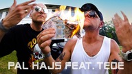 WuWunio - Pal Hajs 2026 - Litt Willson Remix - feat.  TEDE
