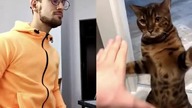TAP TAP CAT x MULTI DAVID ( live looping )