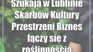 Szukają w Lublinie Skarbów Kultury Przestrzeni Biznes łączy się z roślinnością