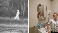 Paranormalne ZDJĘCIA I NAGRANIA od widzów #5 - Duchy, UFO i więcej!