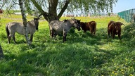 Nasze śmierdzące Hobby kolejna zagadka z pola