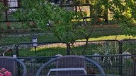 pierwszomajowy grill #kuchnia Romana
