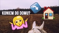 Koniem do domu?!  Vlog #11 