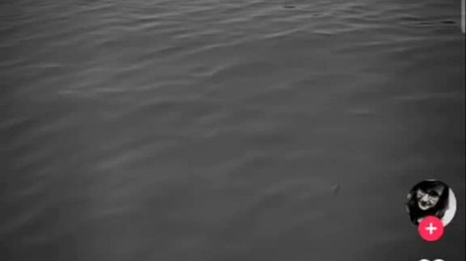 przegrałem to życie #music #trueman