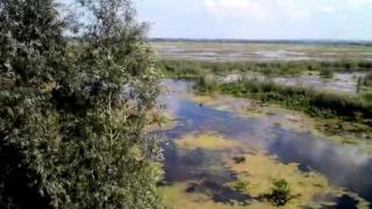 Wieza widokowa jezioro druzno