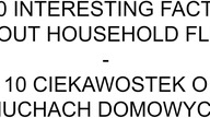 10 INTERESTING FACTS ABOUT HOUSEHOLD FLIES - 10 CIEKAWOSTEK O MUCHACH DOMOWYCH