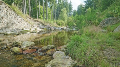 Meditation with Nature - Flowing Water & Forest