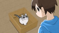 [Fusoku Subs] Yoru wa Neko to Issho 01