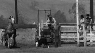 Z zimną krwią (1967) napisy pl
