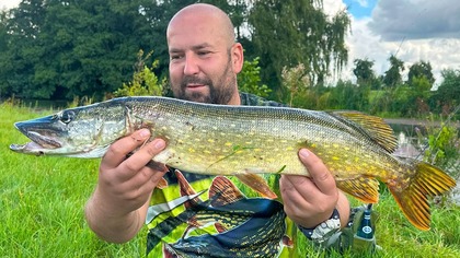 Łowimy, smażymy, zjadamy!  Szczupaki  Hamburg, Niemcy 2025 | Odc.  2 z 3