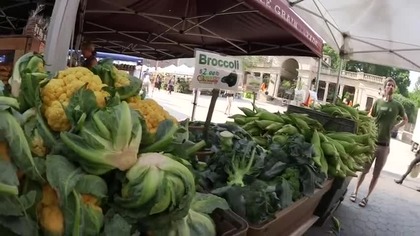 NISSIAX83 Kupujecie żywność organiczną?