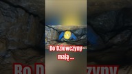  Dlaczego dziewczyną trudniej w jaskiniach? 