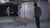 Halloween Prank