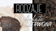 Rodzaje i przygotowanie czerwonej herbaty Pu-erh (2/5). Czajnikowy.pl