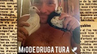 Młode - druga tura, jest już 35 sztuk