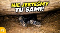 TU MIESZKA KTOŚ JESZCZE...
