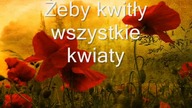 Żeby kwitły wszystkie kwiaty - To dla Ciebie miła