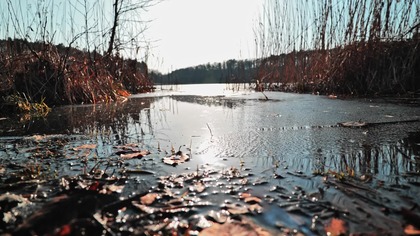 Frozen Lake in Winter  Quiet Nature Silence Soundscape