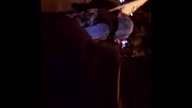 Ostro! Grzegorz Braun wyjasnia policjantowi jak wygląda trojpodział władzy w Polsce