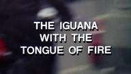 The Iguana with the Tongue of Fire 1971 Napisy