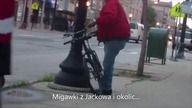 Przyjechałem po dolary