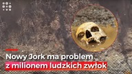 Upiorny problem Nowego Jorku. Woda podmywa ogromny cmentarz!