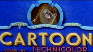 098.  Tom i Jerry - Latająca wiedźma[1]